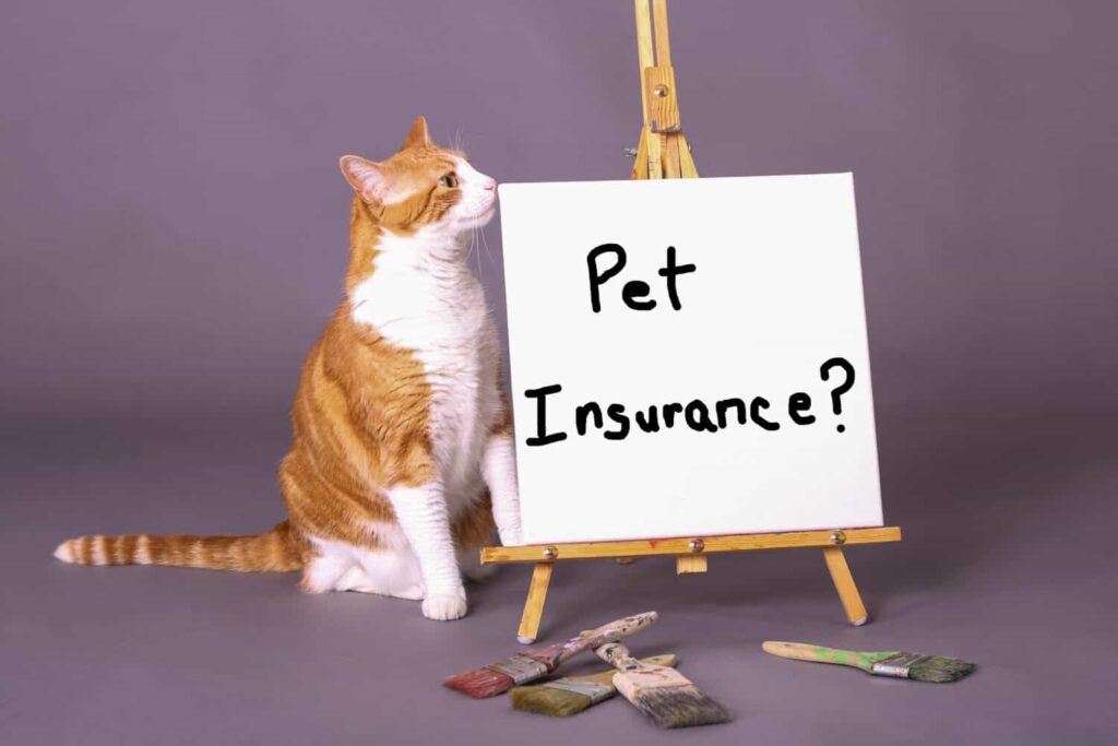 pet insurance in usa